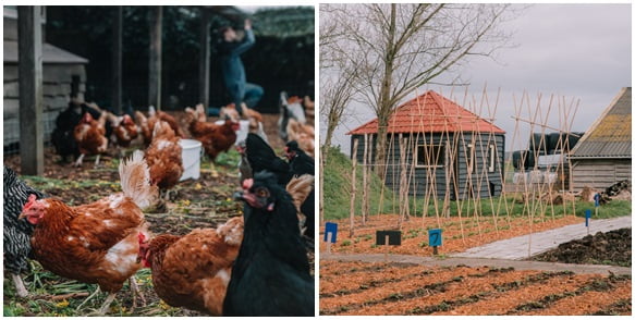 Deelnemers en begeleiders op het erf van De Klompenhoeve